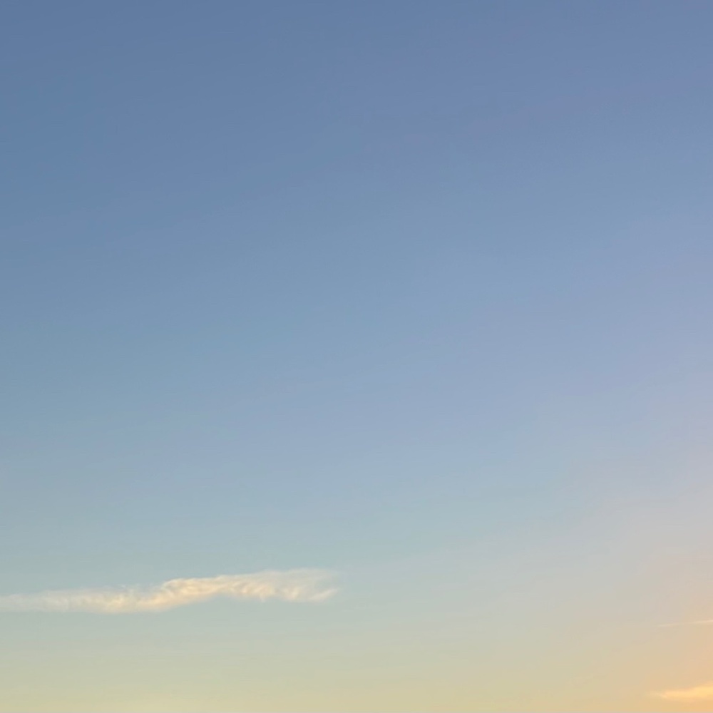 Meet your Posher, Josily